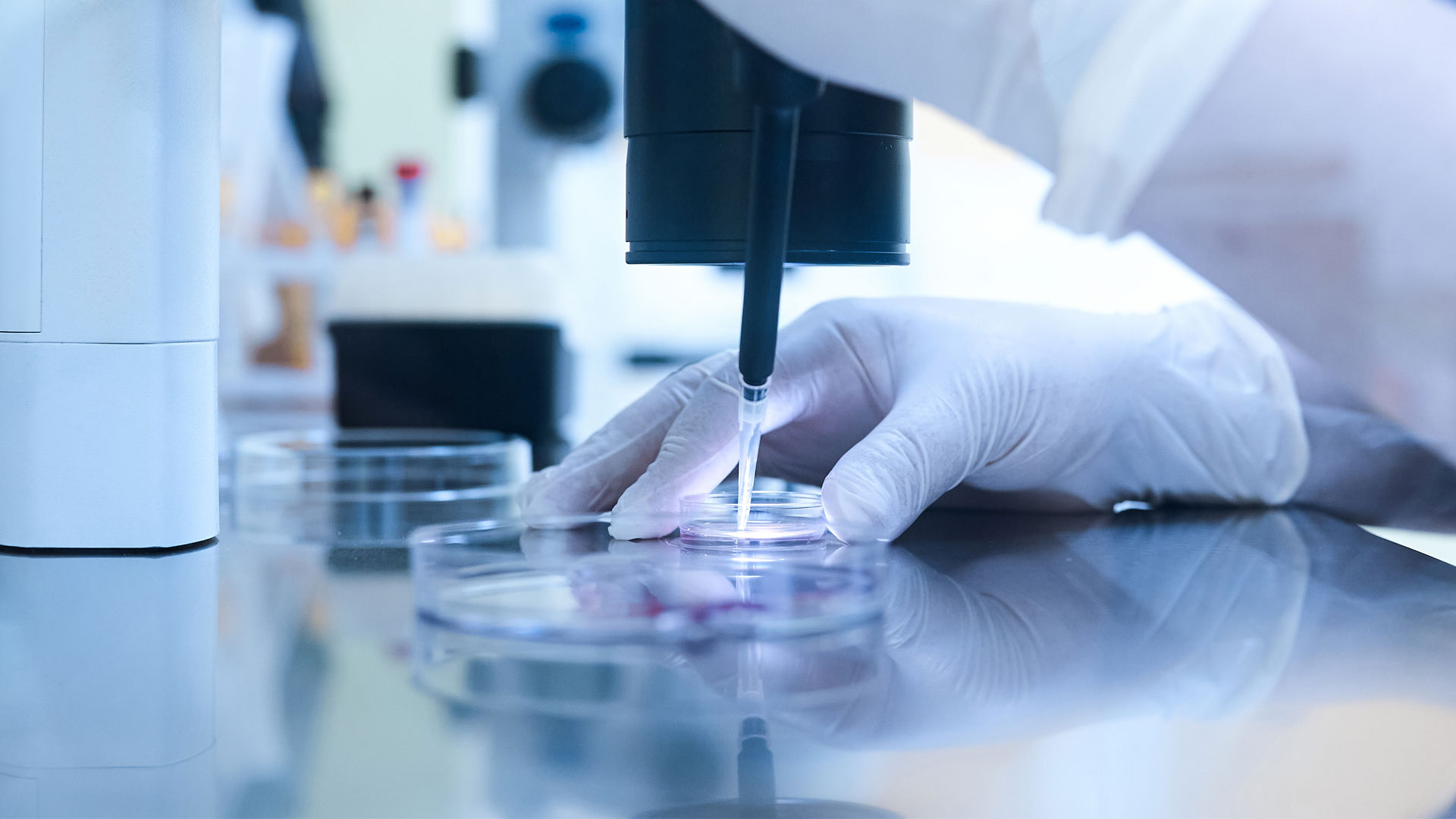 Scientists at SRI International have developed a peptide that targets lung tumors and delivers therapeutics inside the cells 